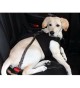Puppia 貴族型狗用安全帶